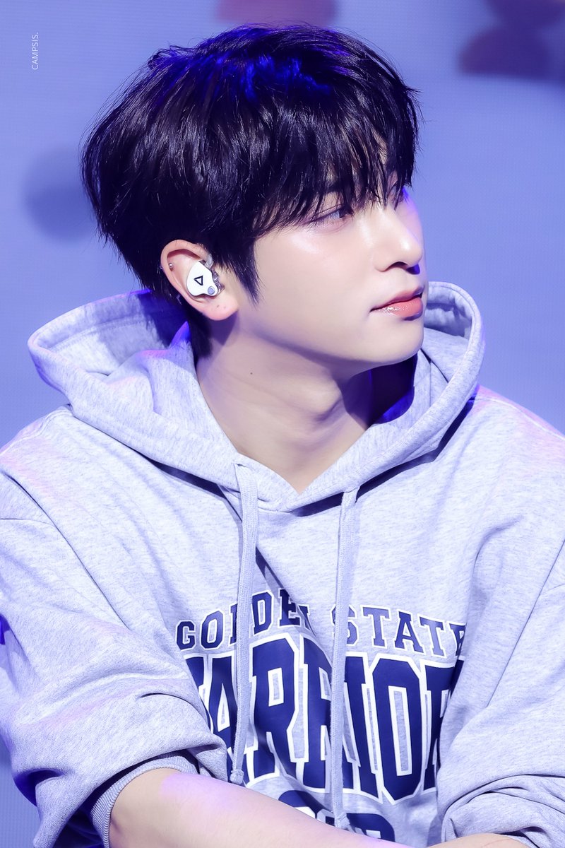 𝐂𝐀𝐌𝐏𝐒𝐈𝐒ꕤ tweet media