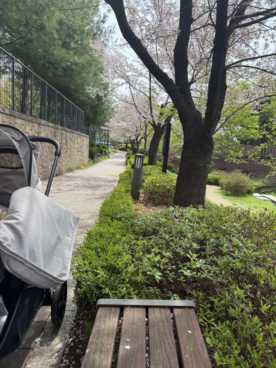 Бодонч tweet media