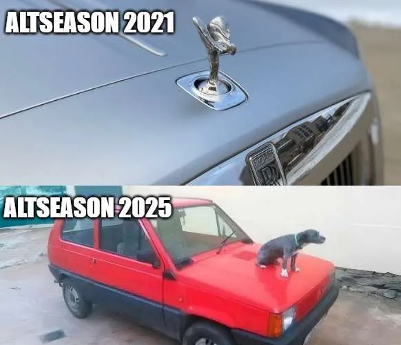 Liam Thompson tweet media