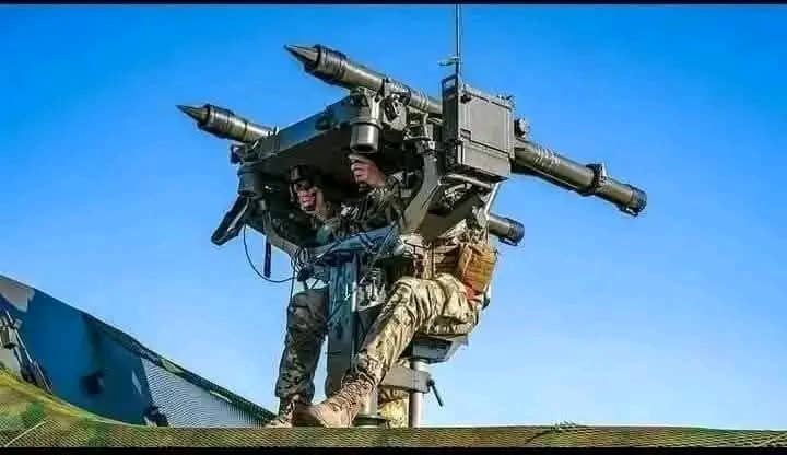 Afghan Zalmai tweet media