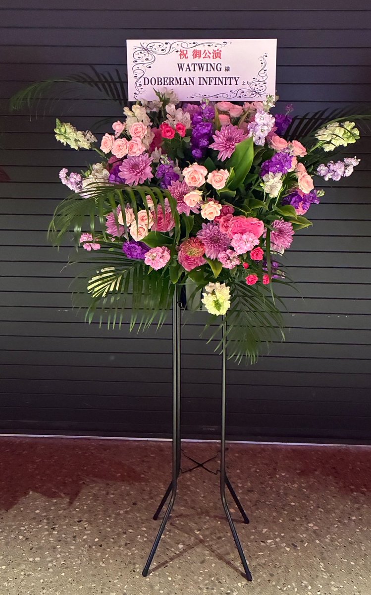 WATWING official tweet media