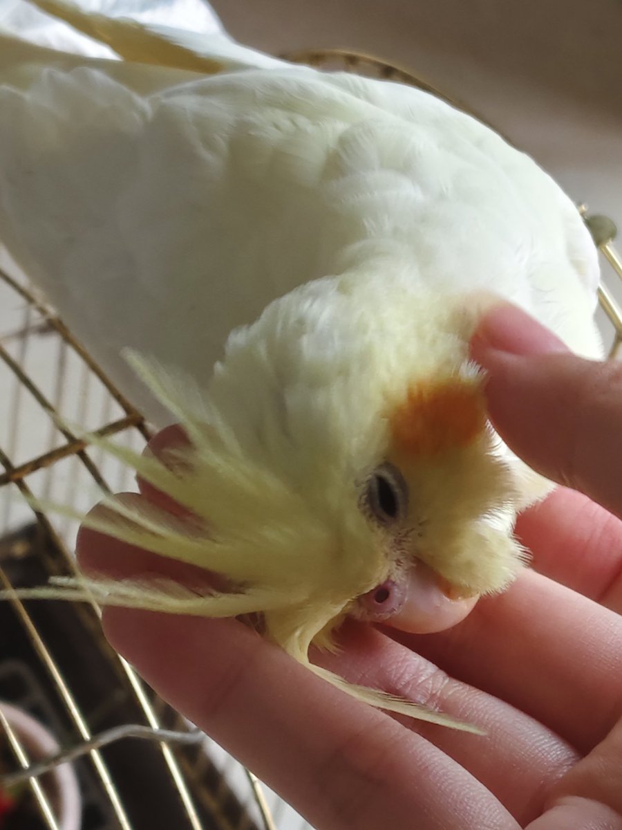 Grimm3011068534's tweet image. 