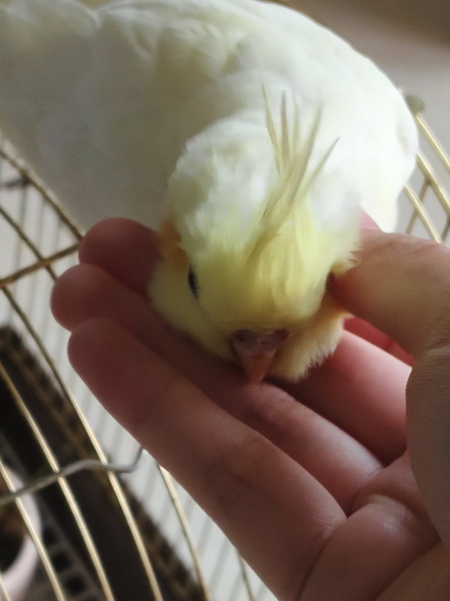 Grimm3011068534's tweet image. 