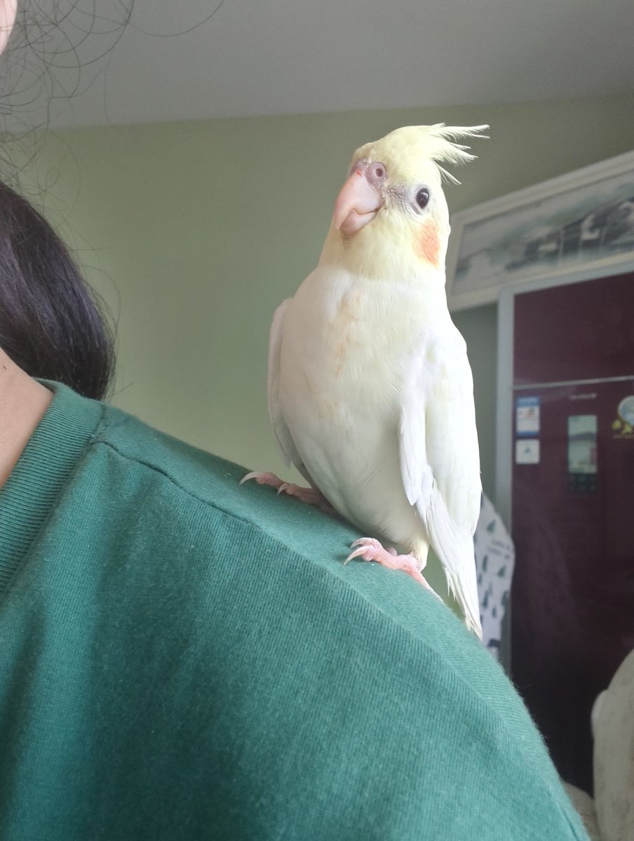 Grimm3011068534's tweet image. 