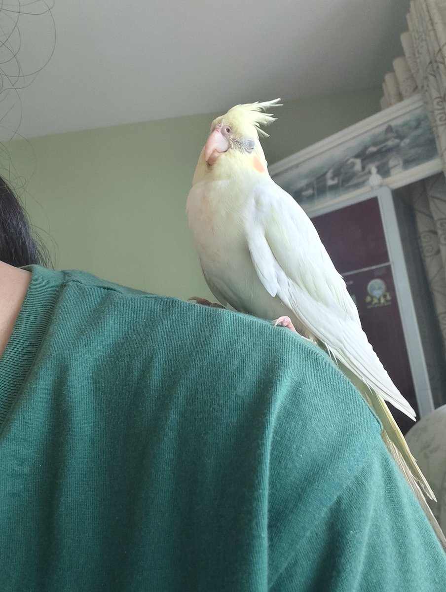 Grimm3011068534's tweet image. 