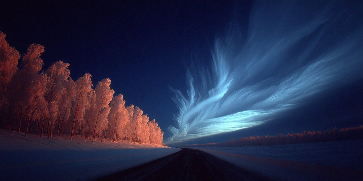 Lyra 周 tweet media