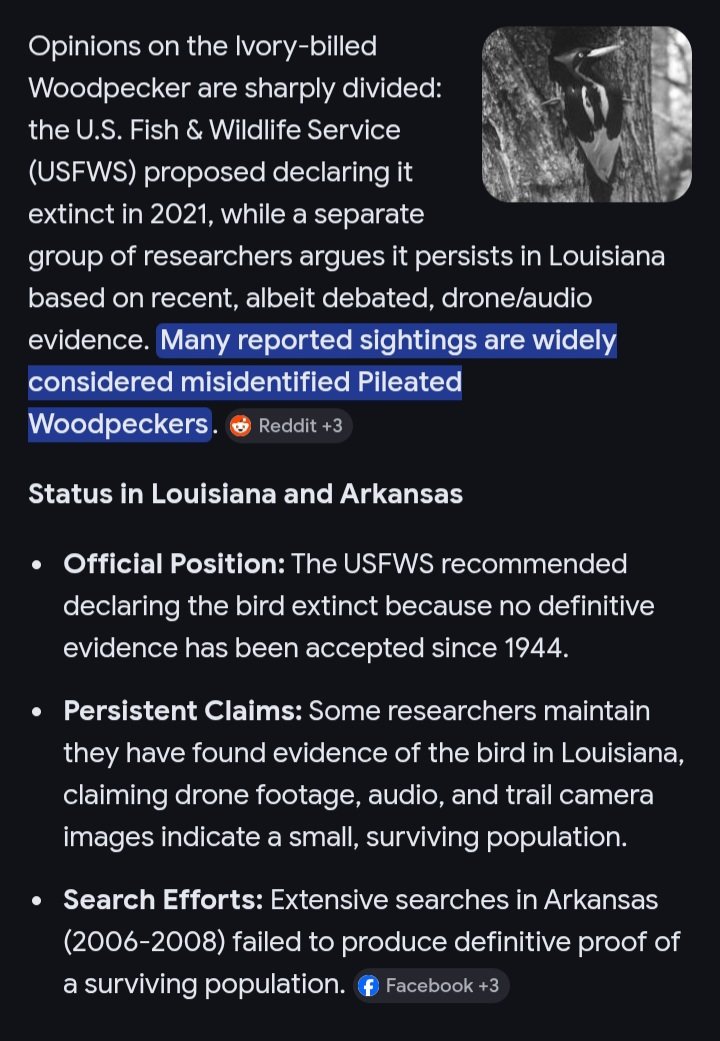 Donate blankets/towels to🐾humane society, please. tweet media