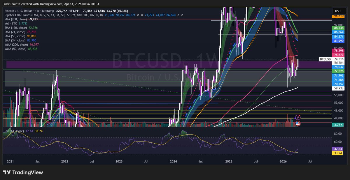 PUFFIN ON PULSECHAIN tweet media