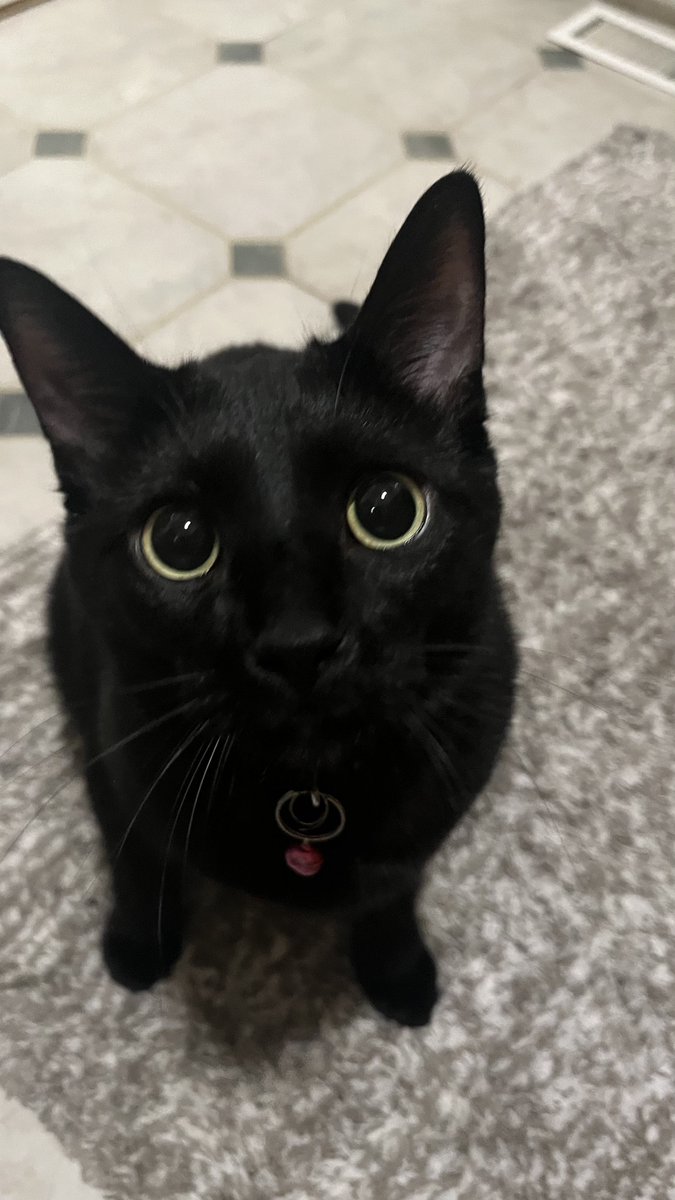 Sock’s father tweet media