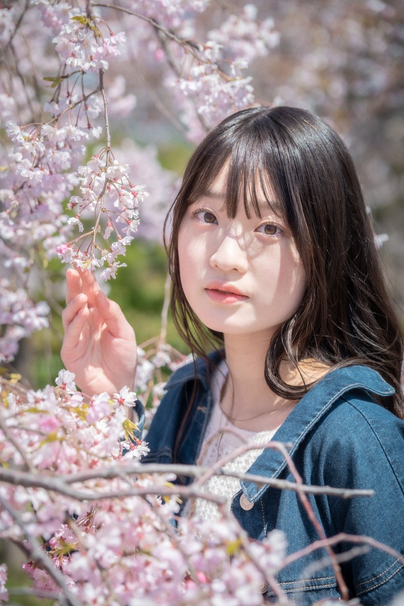 モデル:亀井志乃 さん
(<a href="/shinonon1515/">亀井志乃</a>)
白山公園
2026/4/12
#LLP撮影会 
#ポートレート