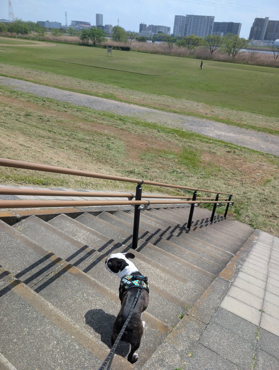 つむぎ tweet media