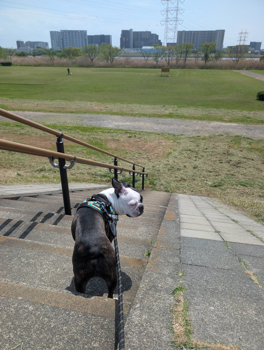 つむぎ tweet media