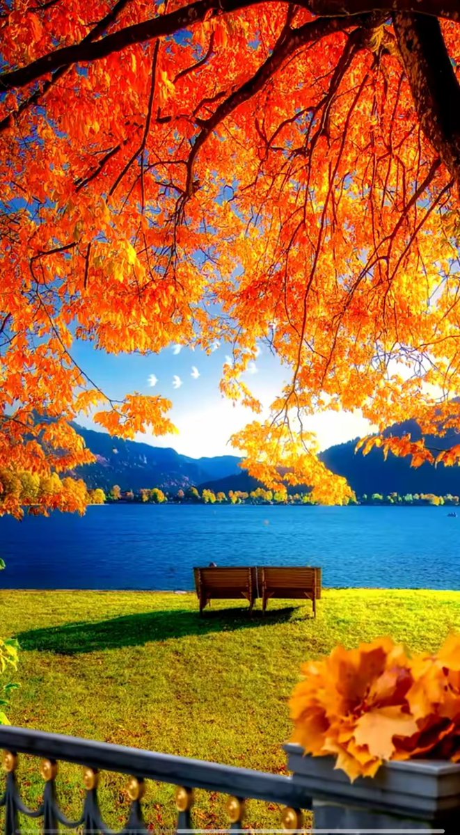 Charrier antoine tweet media