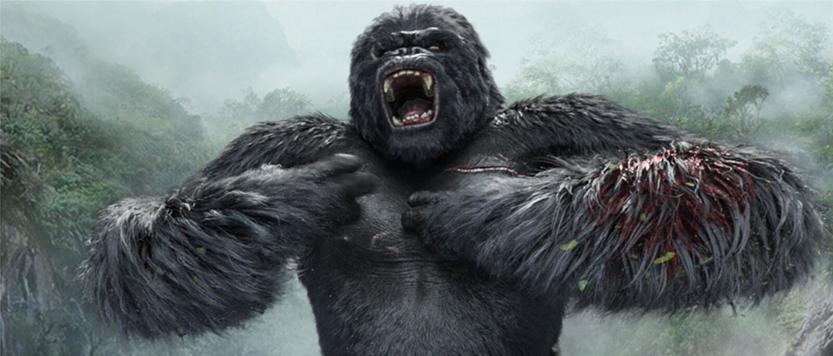 Boston Waffen tweet media