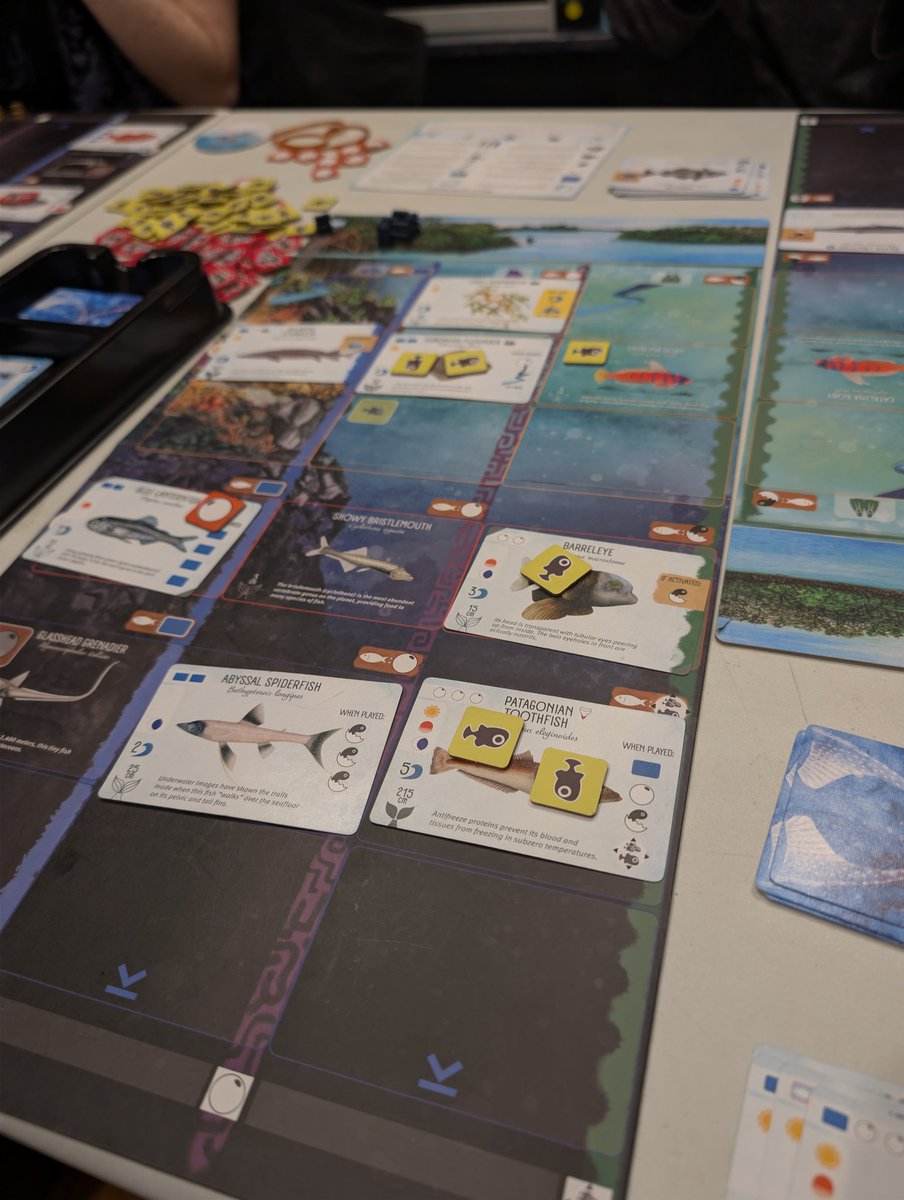 Love me some Finspan #boardgames