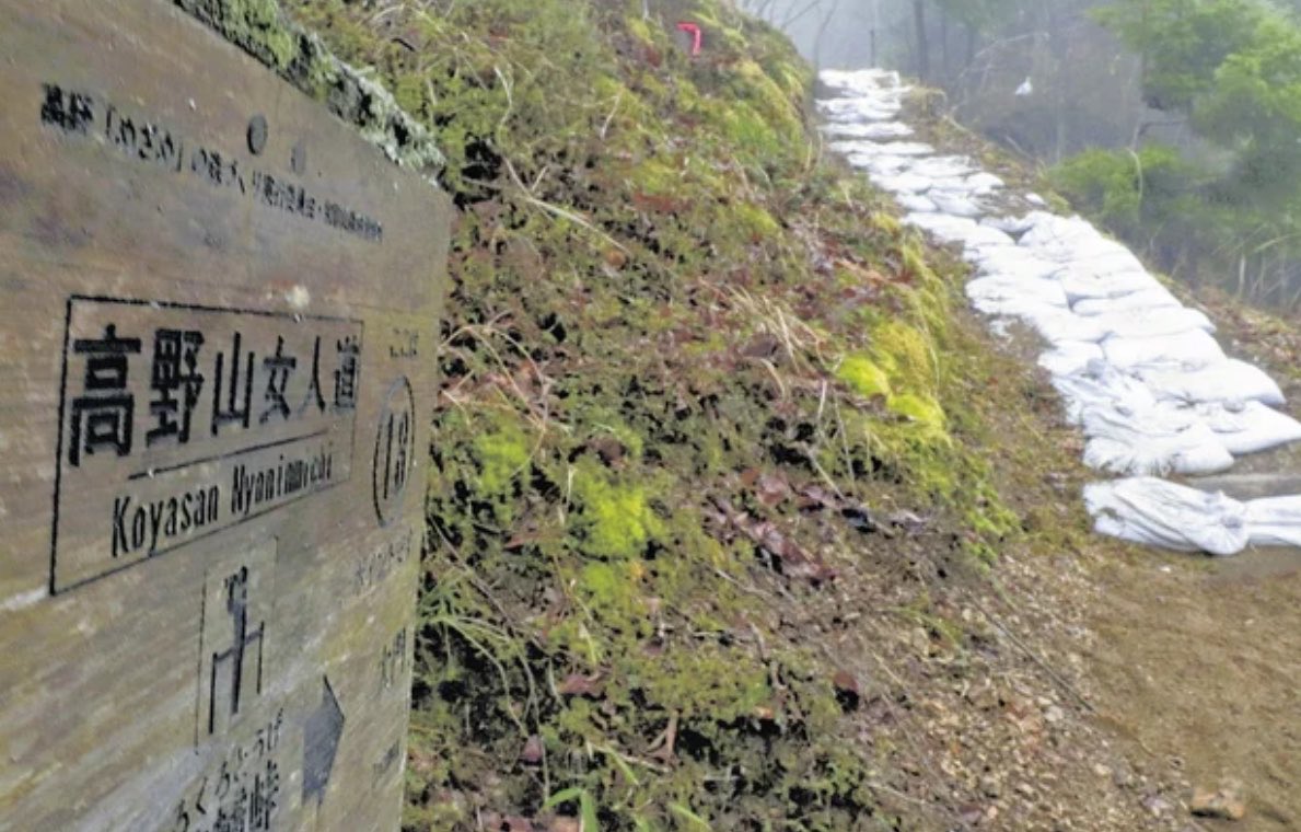 Taku 🇯🇵 tweet media