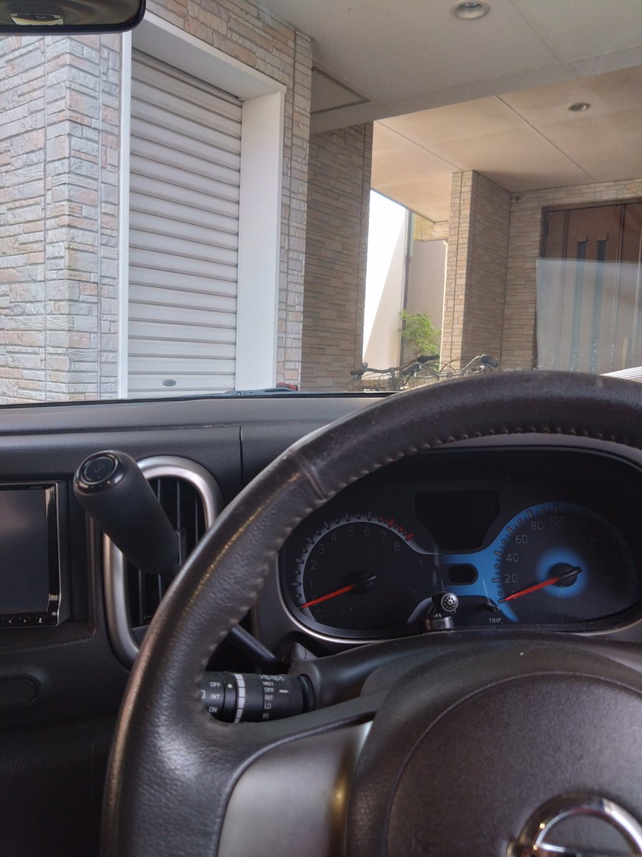 ミサワ（猫大好きの透析患者） tweet media