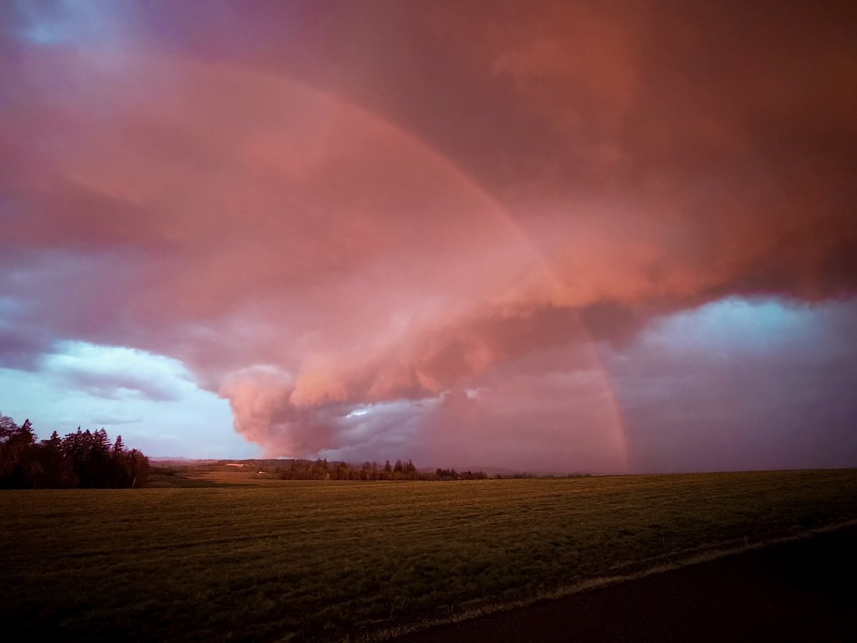 C.K. Bouferrache aka Honeybadgermom tweet media