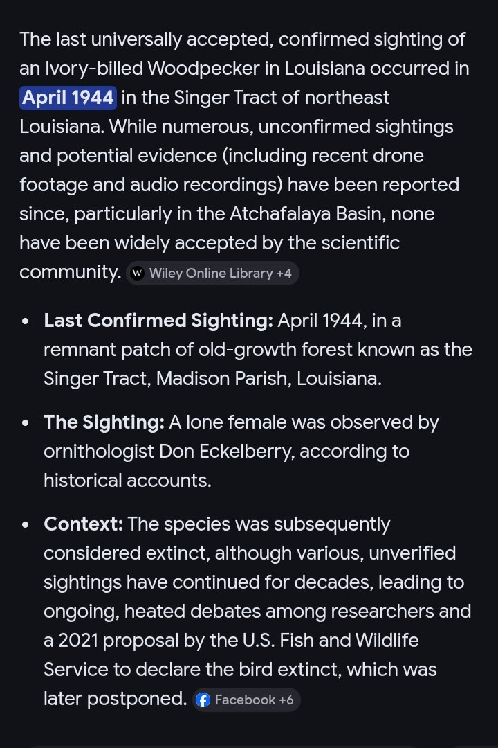 Donate blankets/towels to🐾humane society, please. tweet media