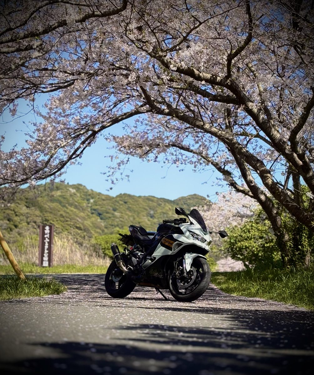 ﾃﾞｲ tweet media