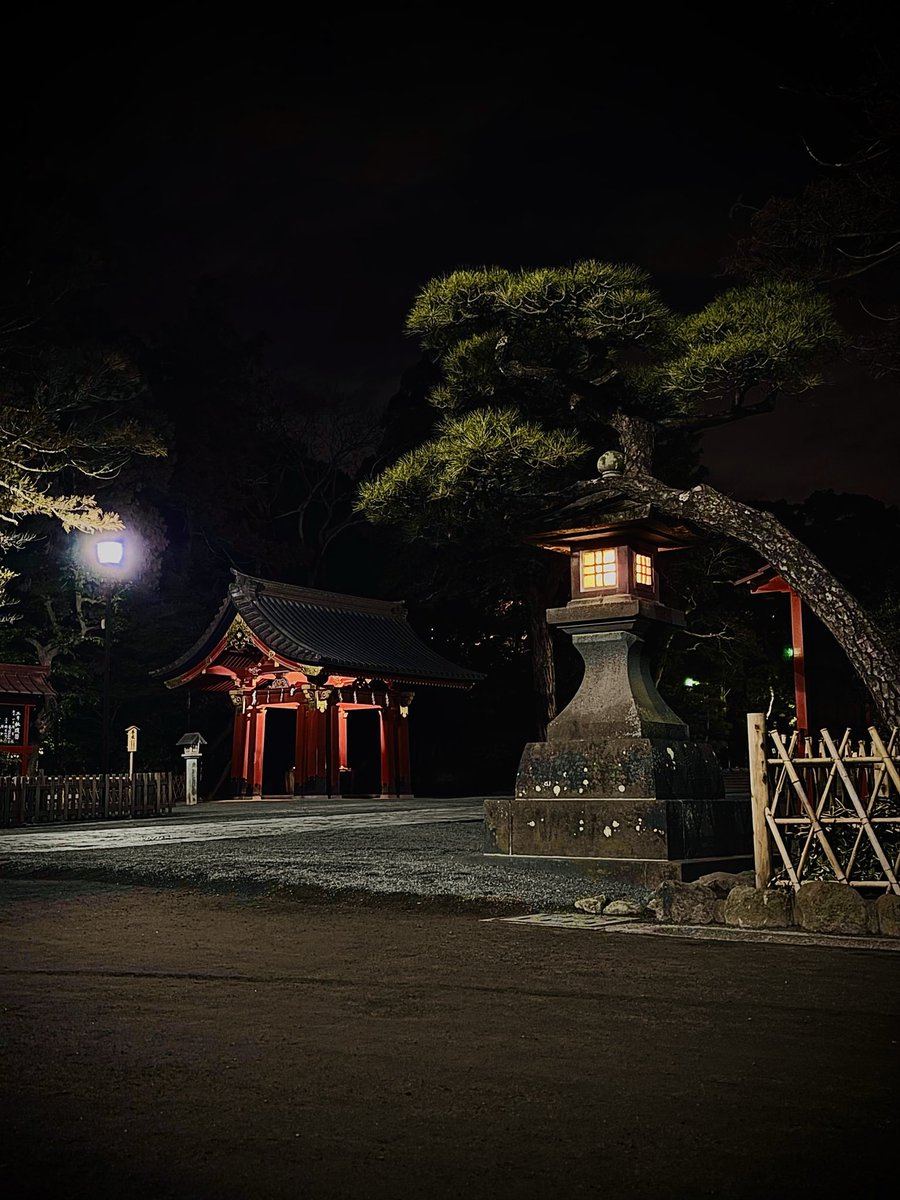 ﾃﾞｲ tweet media