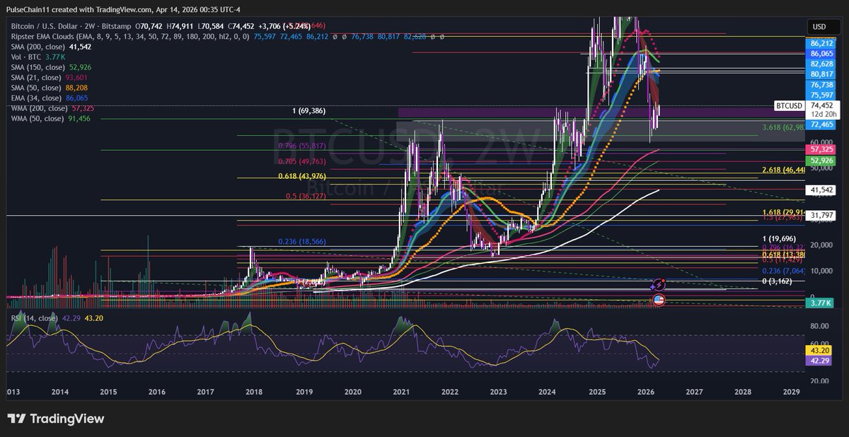 PUFFIN ON PULSECHAIN tweet media