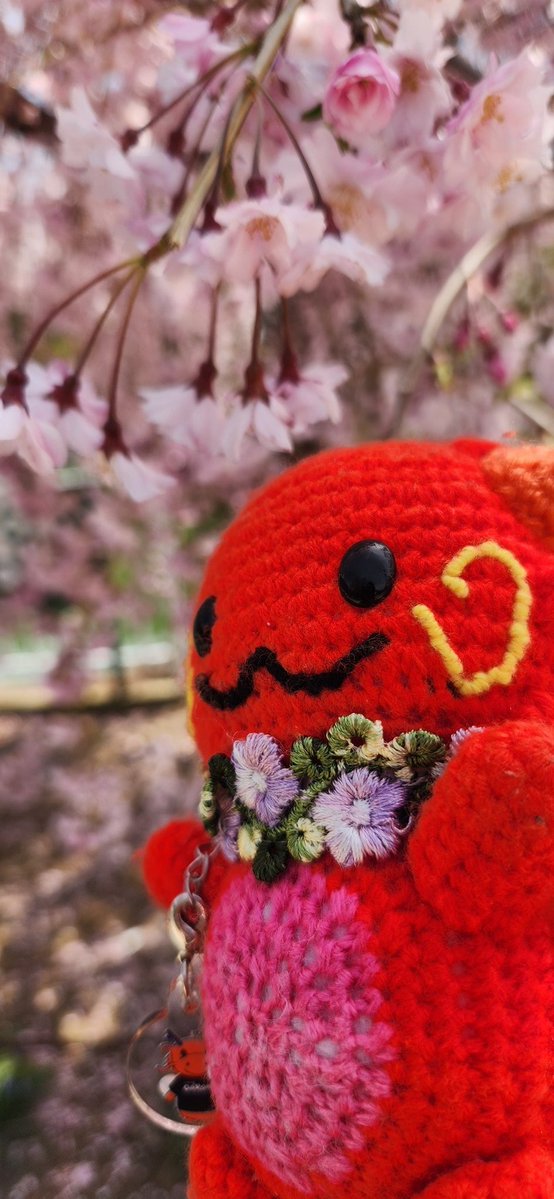 🐷 さとみ 🐰 tweet media