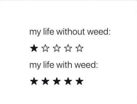 STONERS R US 🍃 tweet media