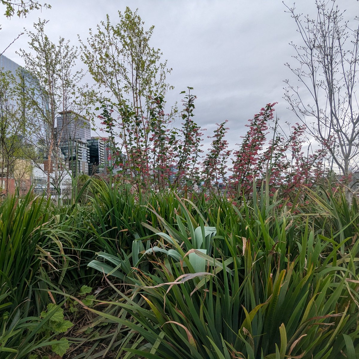 choses_vertes tweet media