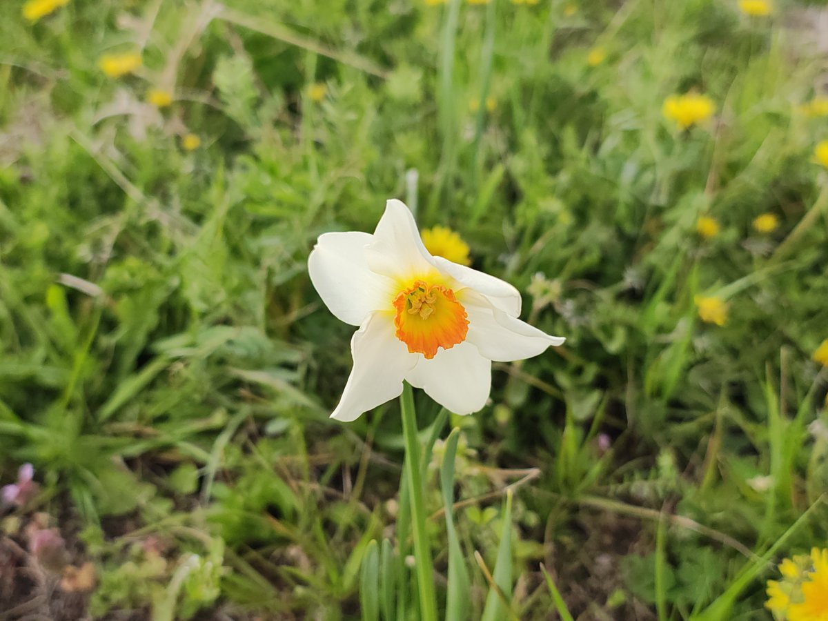 すぺさん tweet media