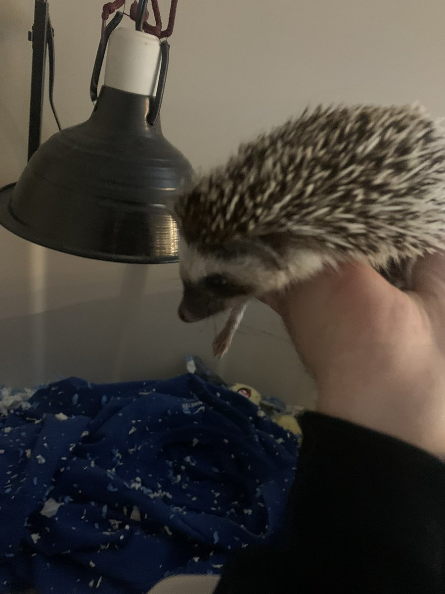 Pictures of Daughtor 

Nika