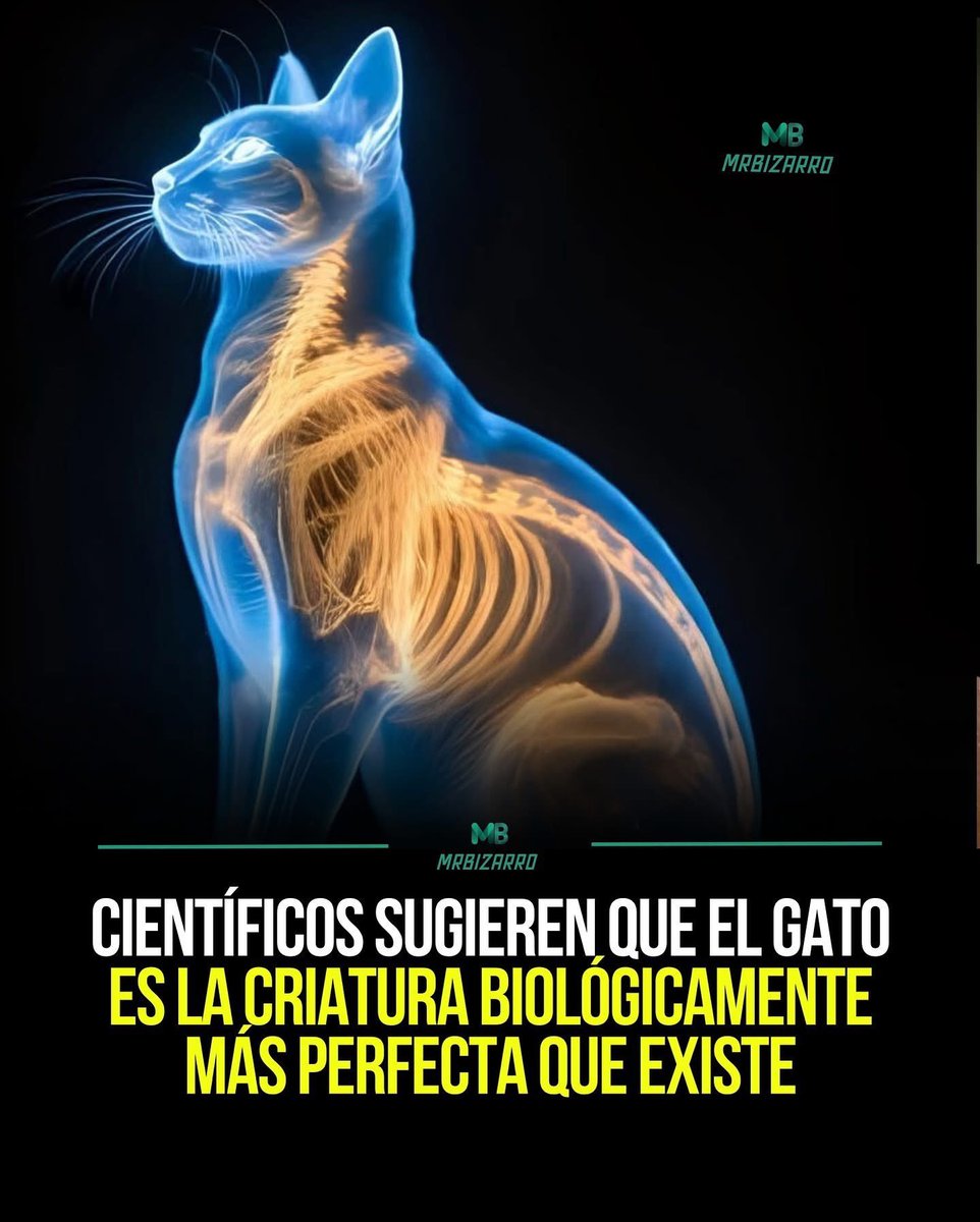 Jeferson Nasa tweet media