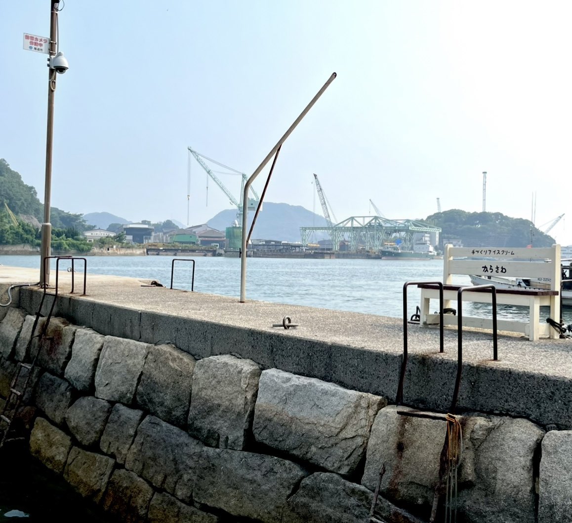 にゃんチュール🐈 tweet media