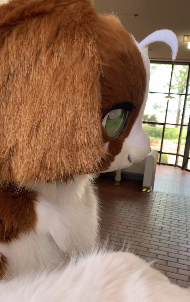 玉蛇（たもへび）&パトリー☘️ tweet media