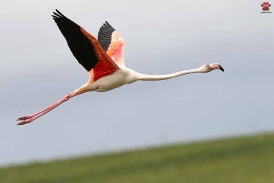 erolgoka tweet media