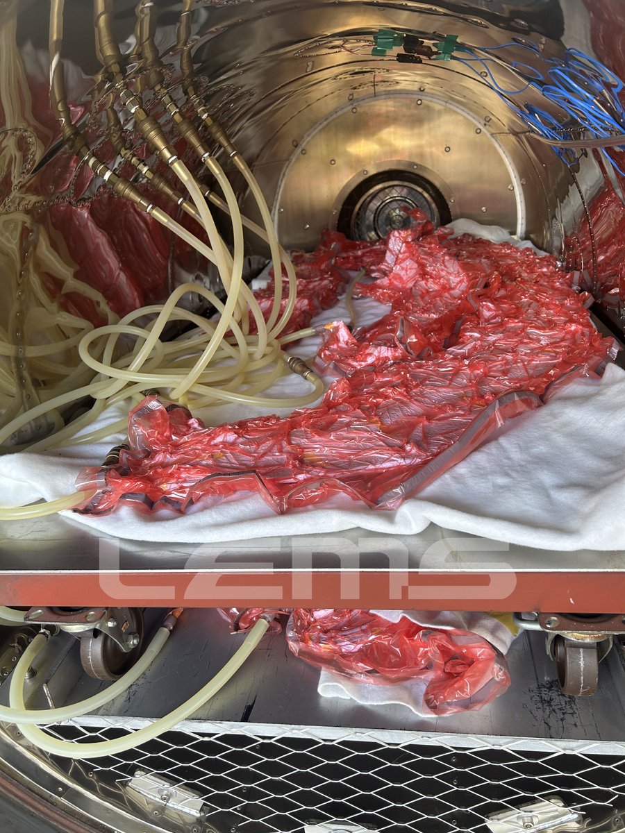 LEMS/コミゾウ tweet media