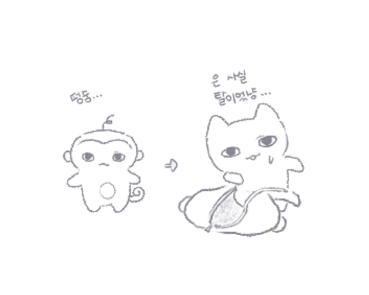 묘명묘 tweet media