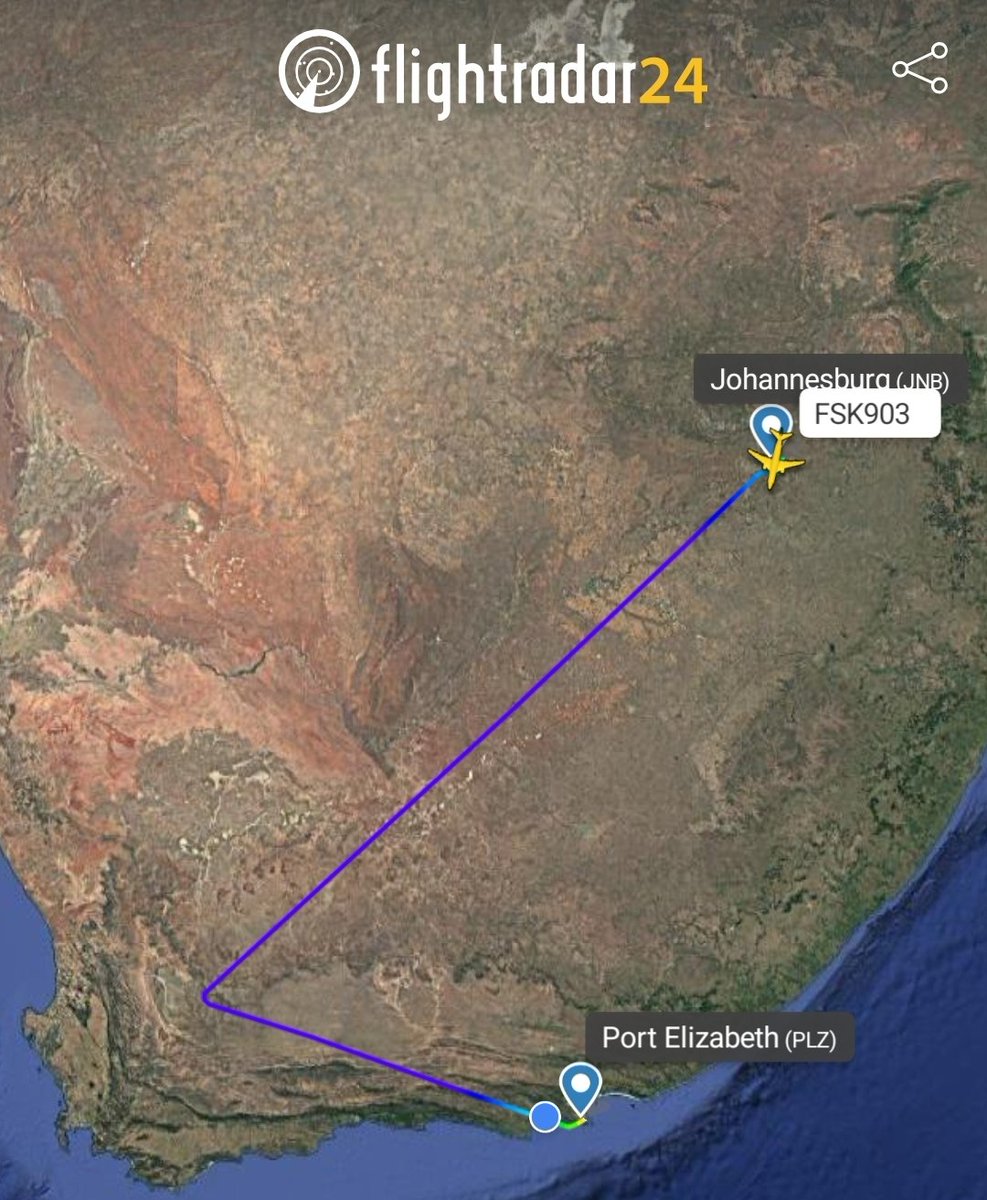 deeewiie™ 💀 tweet media