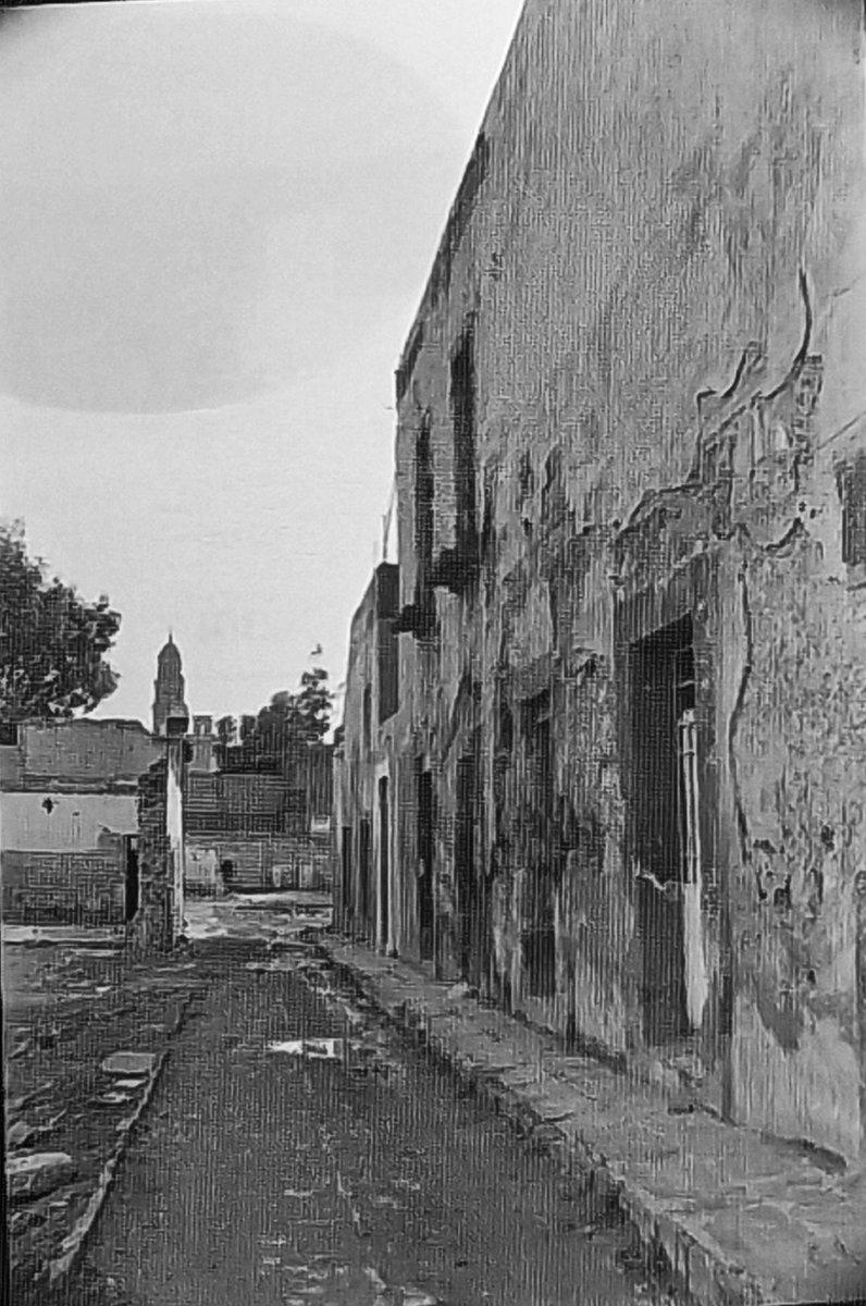 Raul Rodriguez B tweet media