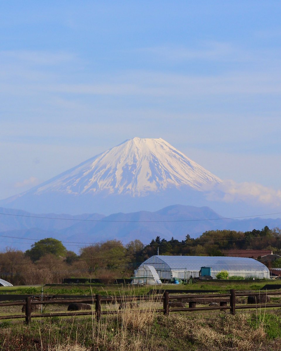 神社から車で約5分の幸福の小径では、
八重桜が見頃です🌸

当神社によく足を運んでくださる大村智博士(2015年ノーベル生理学・医学賞受賞)が中学時代に歩いた道で、富士山をはじめ、八ヶ岳など美しい山々を望むことができます。
