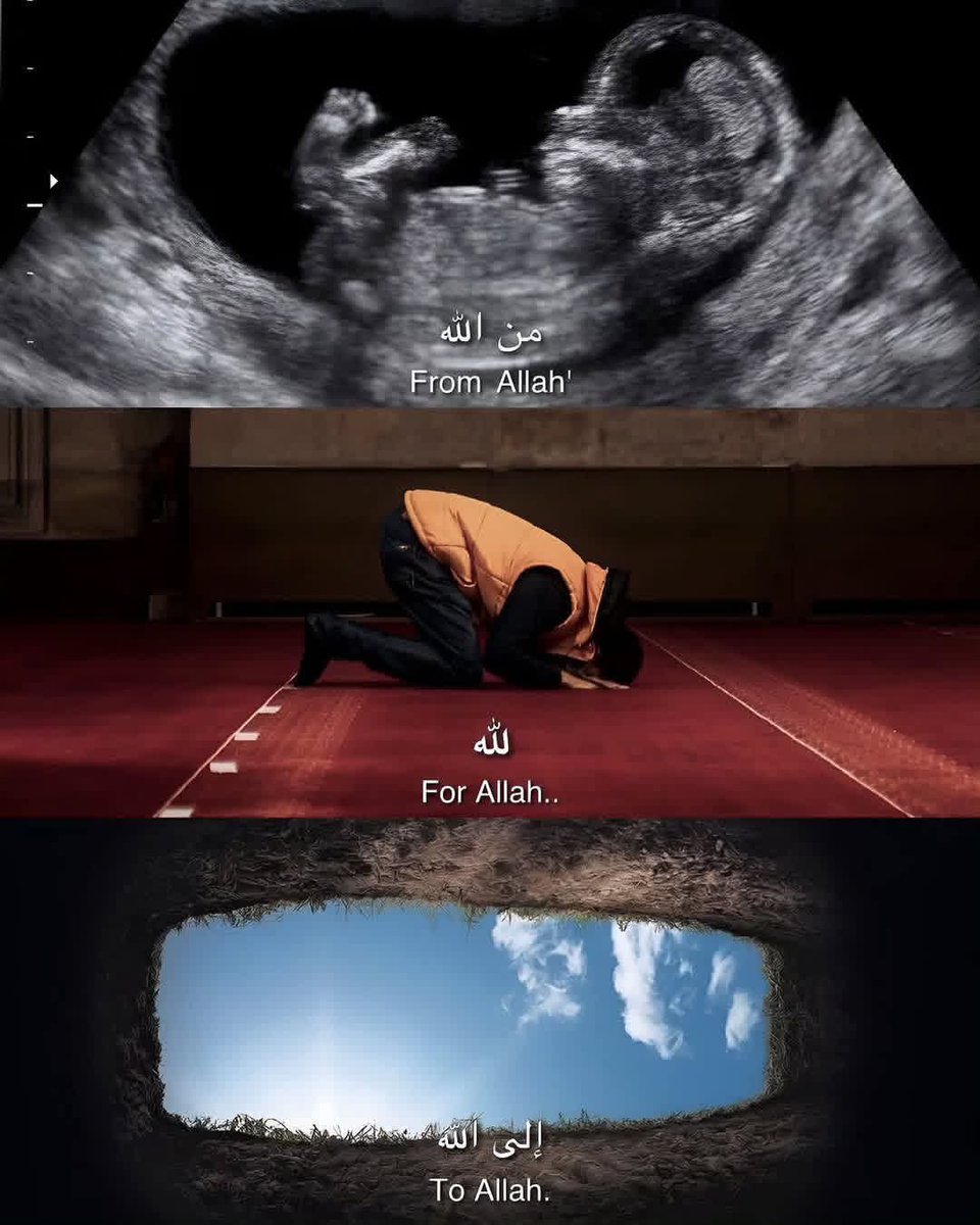 Blackameer tweet media