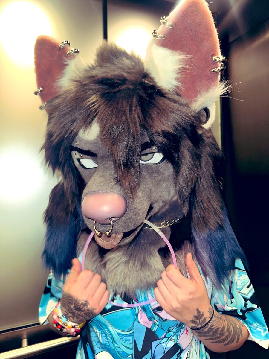 salve - 🔜 FWA26 tweet media