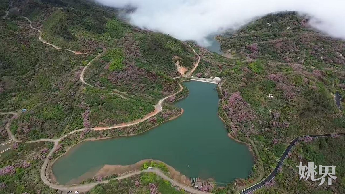 i_yuyao's tweet photo. On April 13, Siming Mountain's Lutian Village saw its thousand-mu pink cherry blossoms in full bloom! The sea of blossoms, intertwined with lakes and tea fields, creates a romantic spring spectacle. A must-visit for eco-tourism lovers! 🌸🏞 #SimingSpring #CherryBlossoms https://t.co/5JG13p4Hif