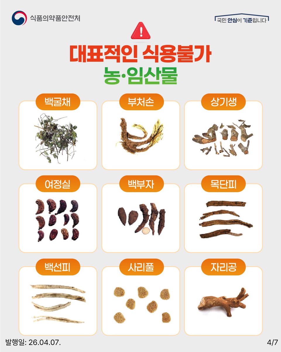 🚨안전정보🚨
식용불가 농·임산물 주의하세요!🚫
.
➕자세한 사항은 #소비자24 누리집에서 확인하세요.
📌관련내용 바로가기 : buly.kr/7bImgO5
.
#소비자24 #24시간열린소비자포털 #공정거래위원회 #공정위 #식품의약품안전처 #식약처 #식용불가 #농임산물주의 #건강차주의 #제한적사용원료