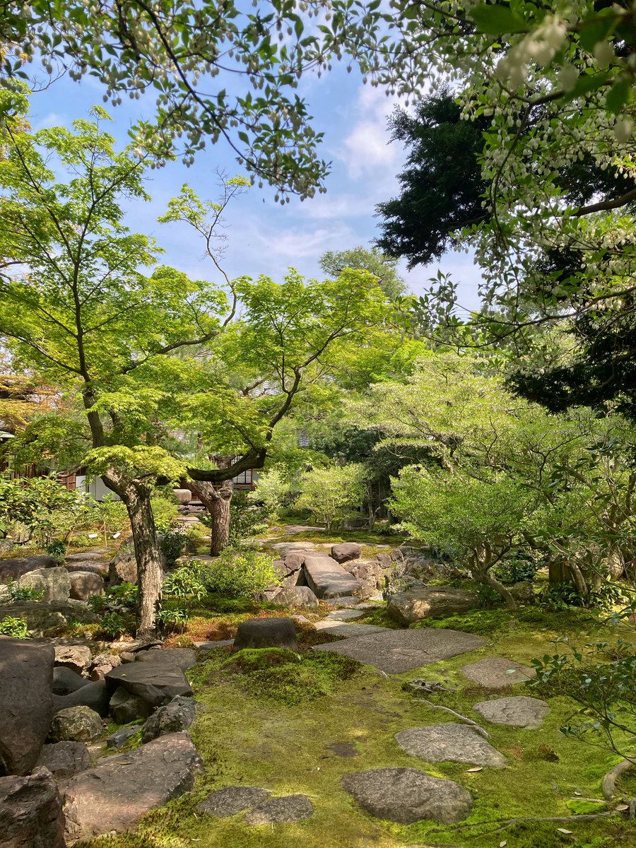 空色CAT @場面緘黙症 ASD tweet media