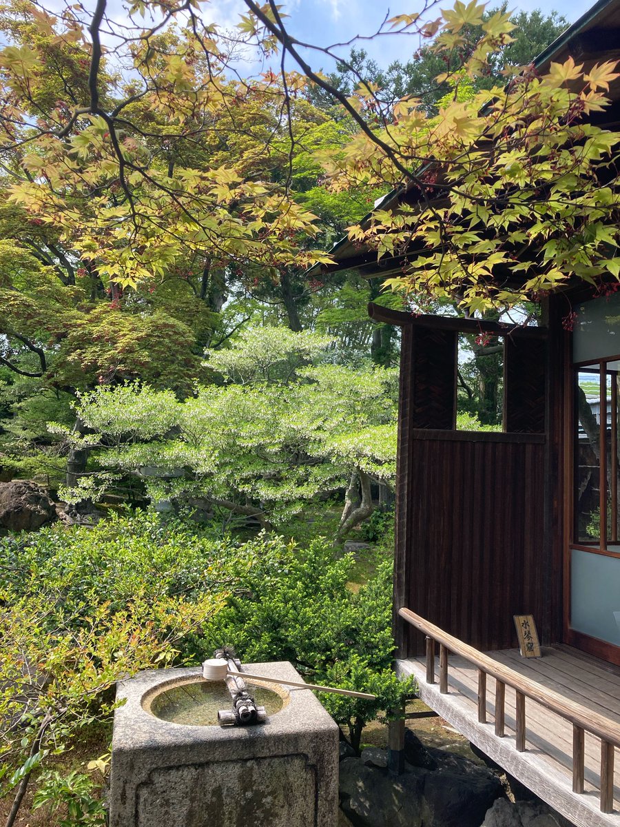 空色CAT @場面緘黙症 ASD tweet media