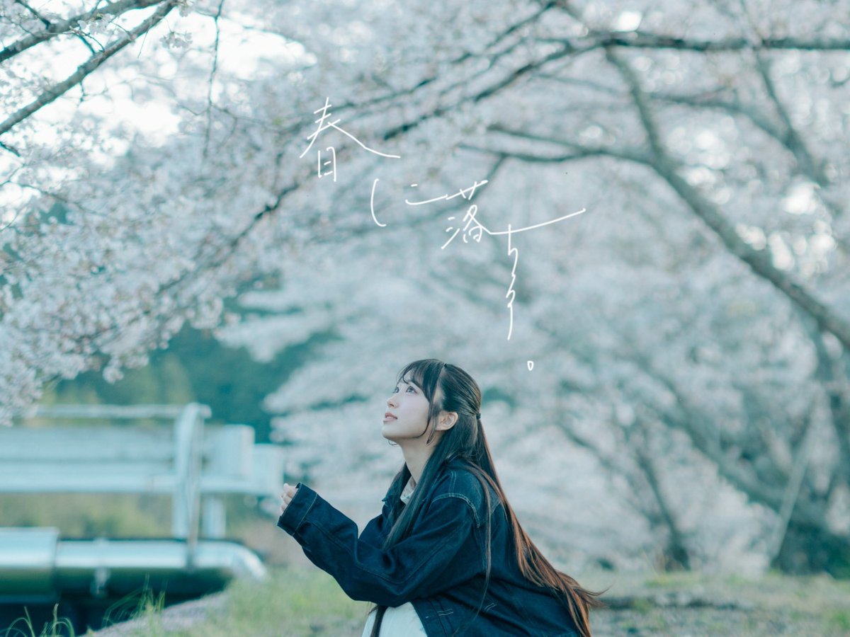 Swimmy｜静岡を泳ぐ。 tweet media