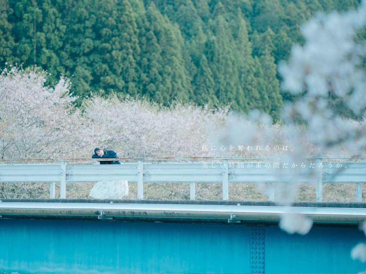 Swimmy｜静岡を泳ぐ。 tweet media