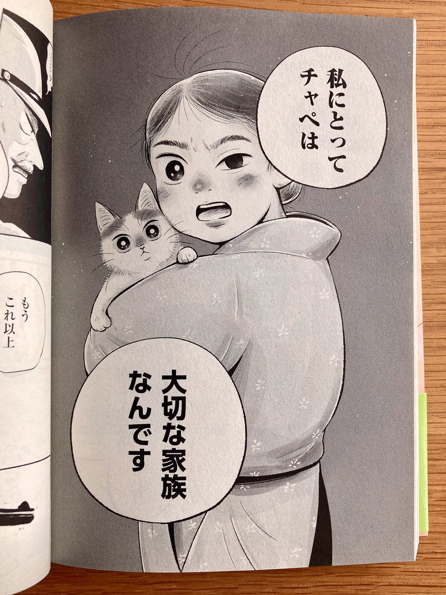 矢野満月🐈 tweet media