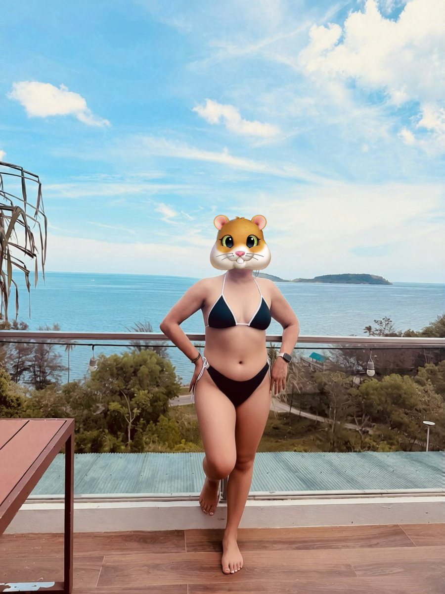 กระเพรา tweet media